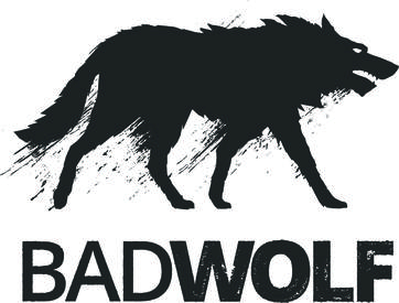 logo.alt